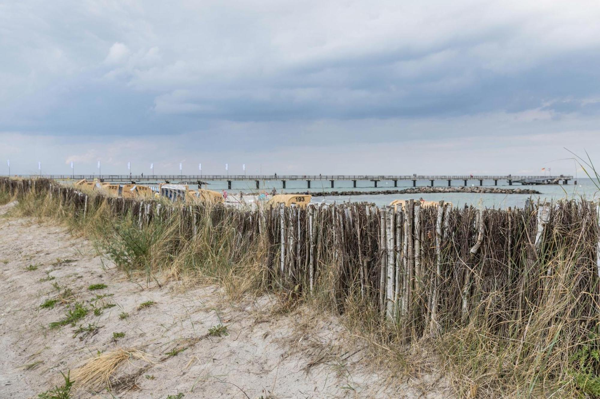 Treibholz - Feriendomizil Ostsee